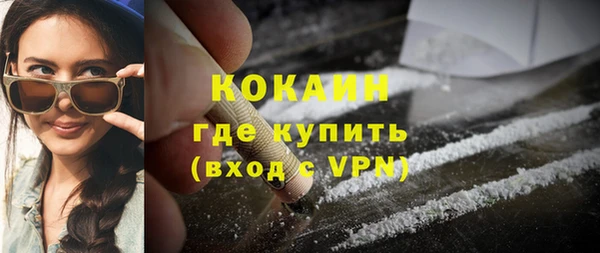 твердый Абаза