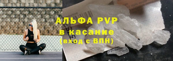 твердый Абаза