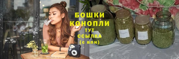 твердый Абаза