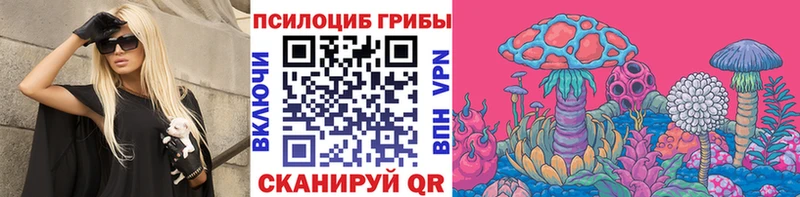 Галлюциногенные грибы Psilocybe  omg ссылка  Власиха  купить  